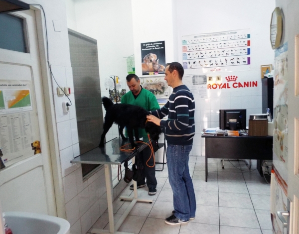 Cabinet veterinar Pedavet